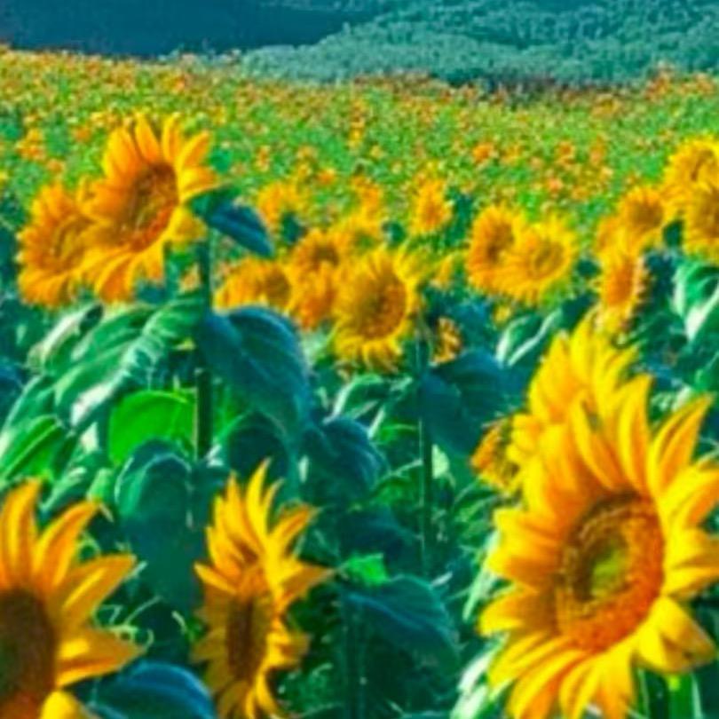 雅心带你看好房❤️❤️❤️