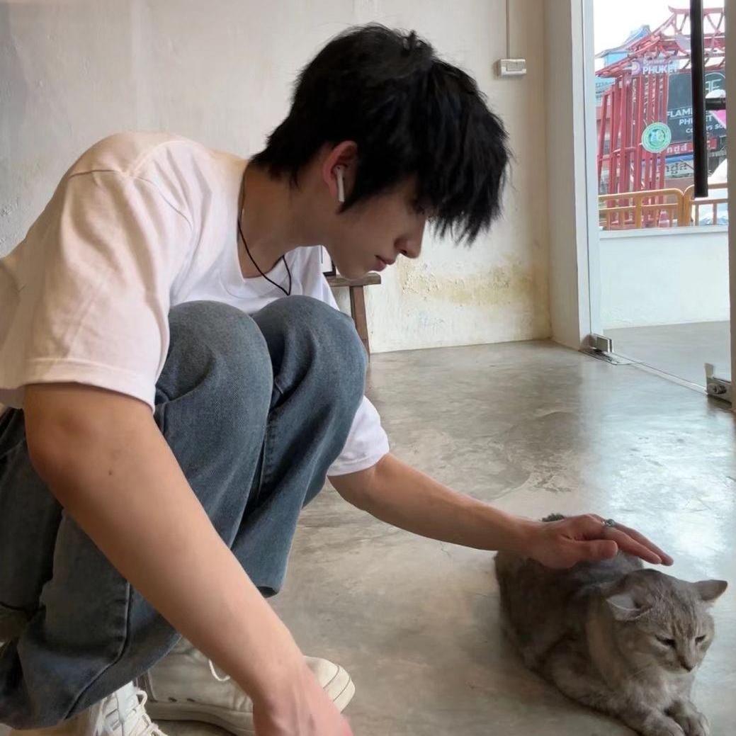 小猪吃瓜影视