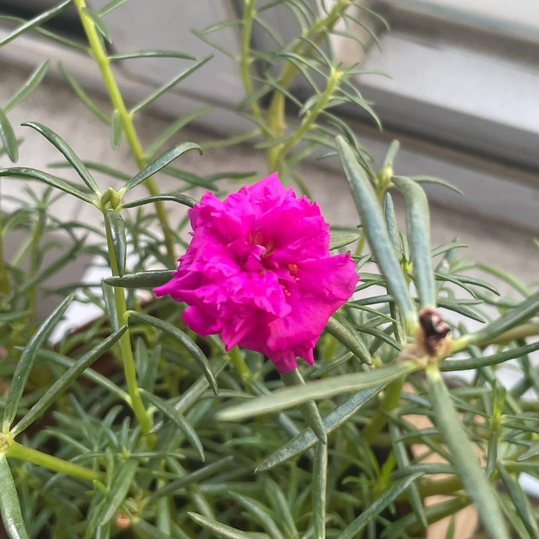 广州鸿信商贸有限公司