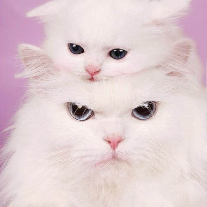 于二