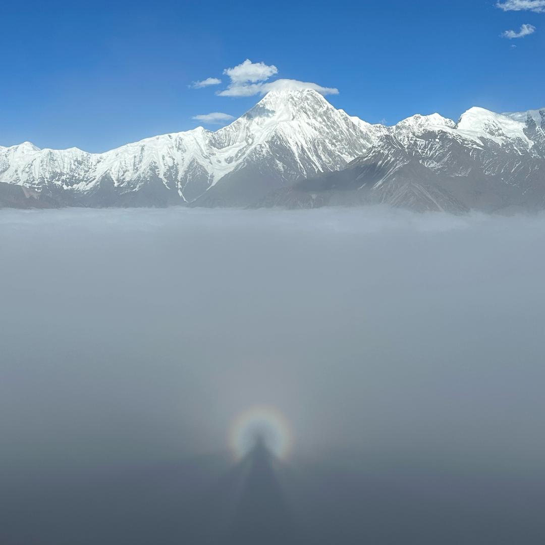 油炸小水母