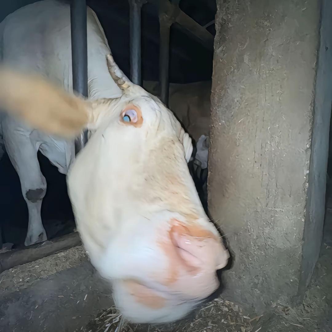 海薄暮归见君笑