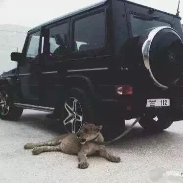 呵呵
