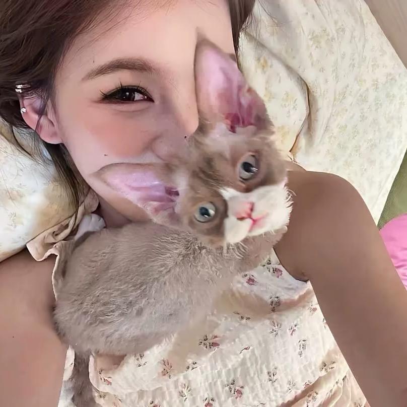 @困困鱼.