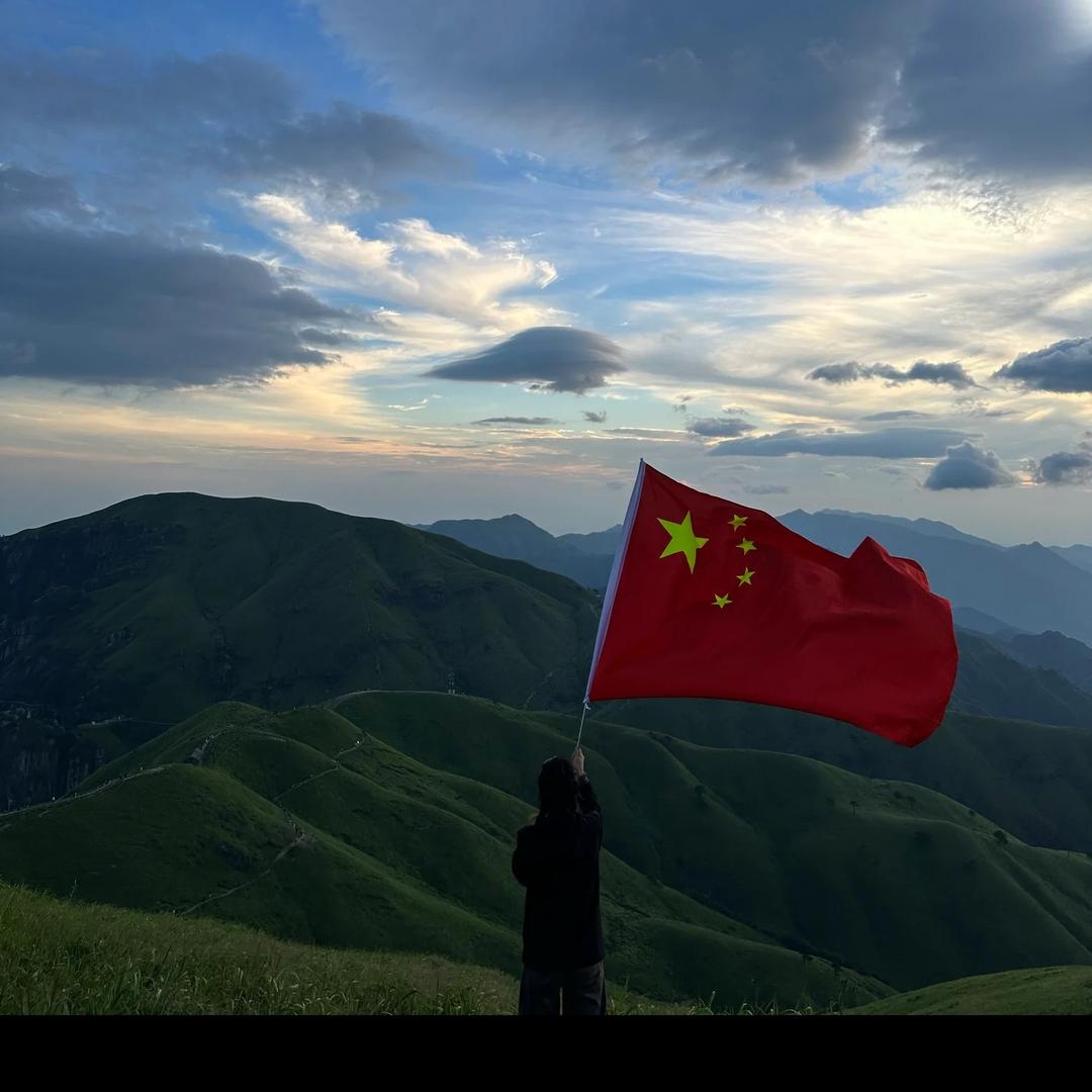 紫白鹤