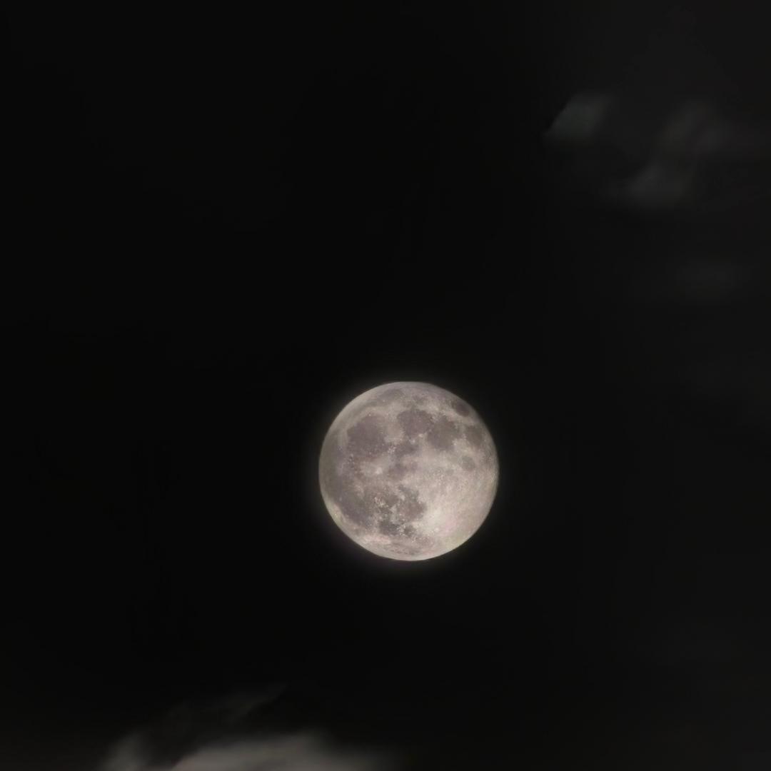 小振吃了一口苹果