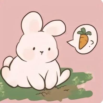 一只兔子