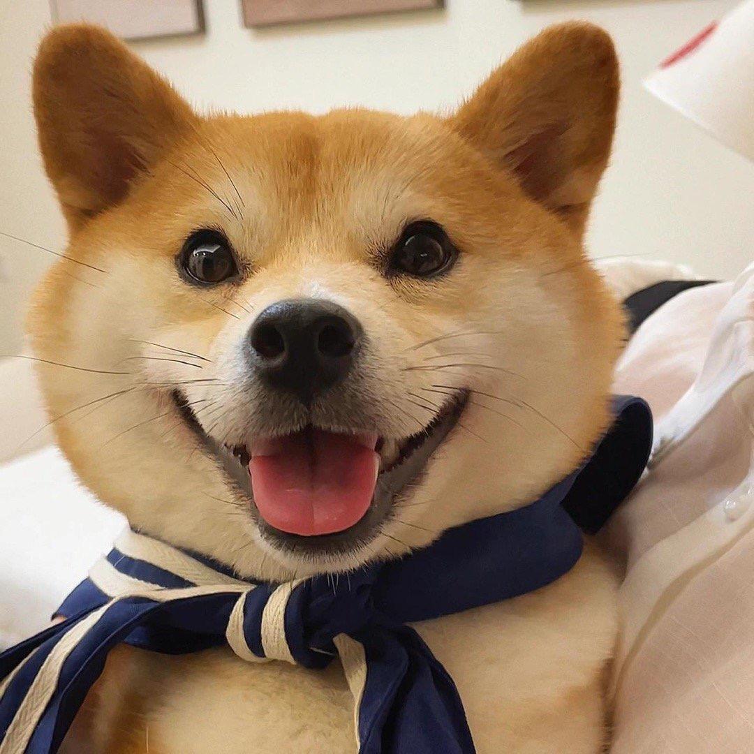 星🌟星期天