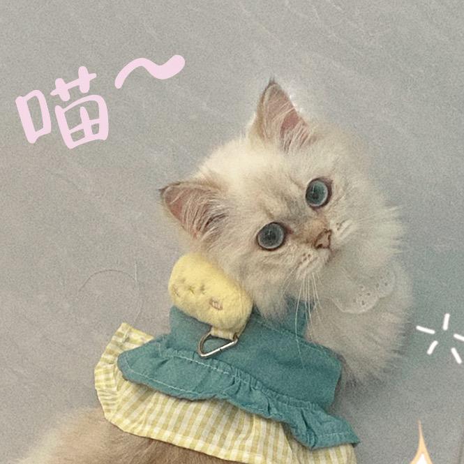 "7Qi7"上门美甲美睫~