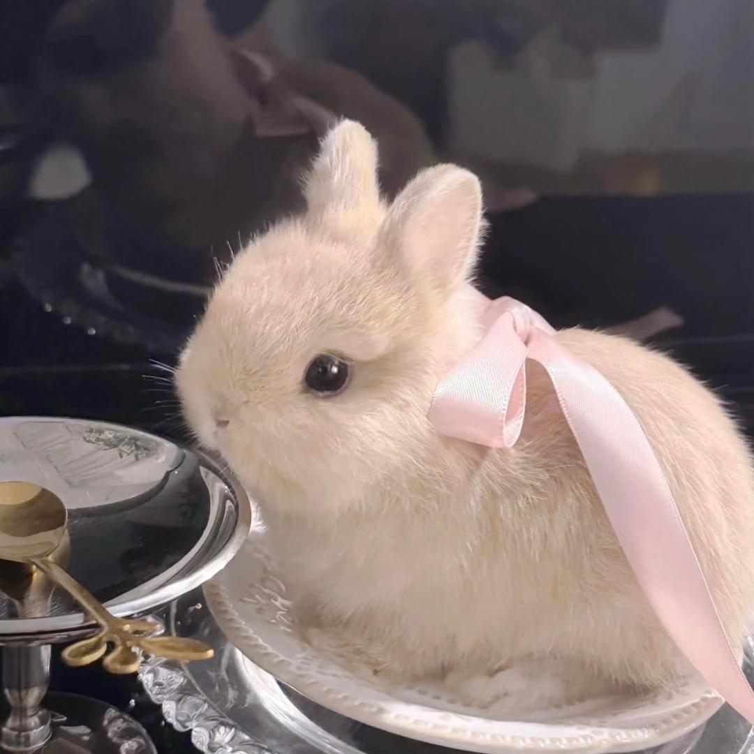 我是真的烦