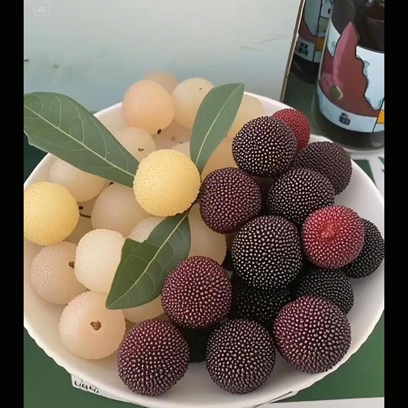 星梦缘