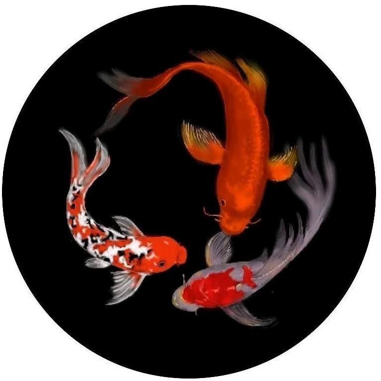 大鱼聊医药电商4