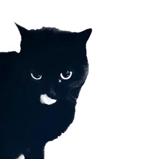 1·
