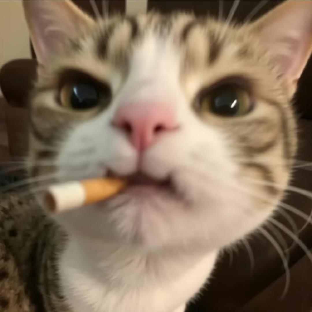 張小凣