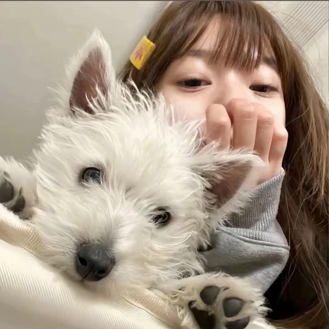 ㅤㅤㅤㅤㅤㅤㅤㅤㅤ ㅤㅤㅤㅤ ㅤㅤㅤㅤㅤ