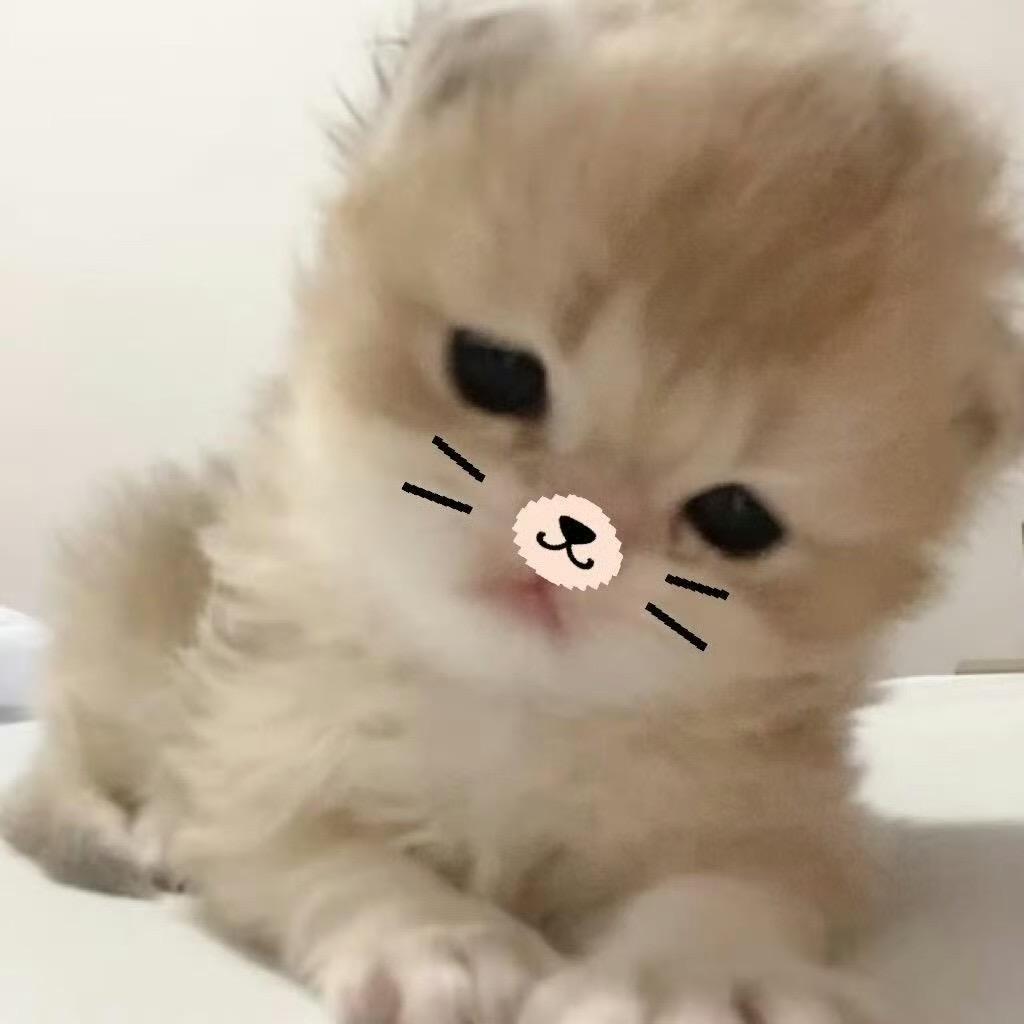 歪y小饼