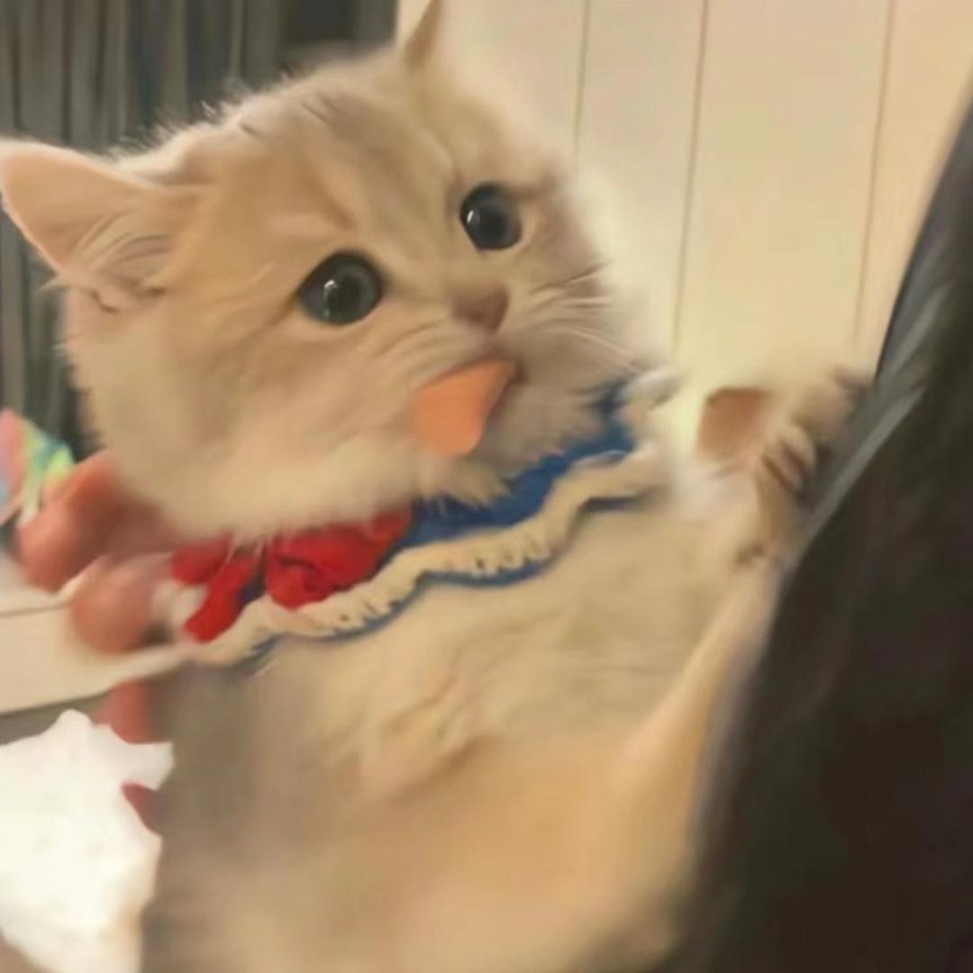 刘云飞挂我电话！