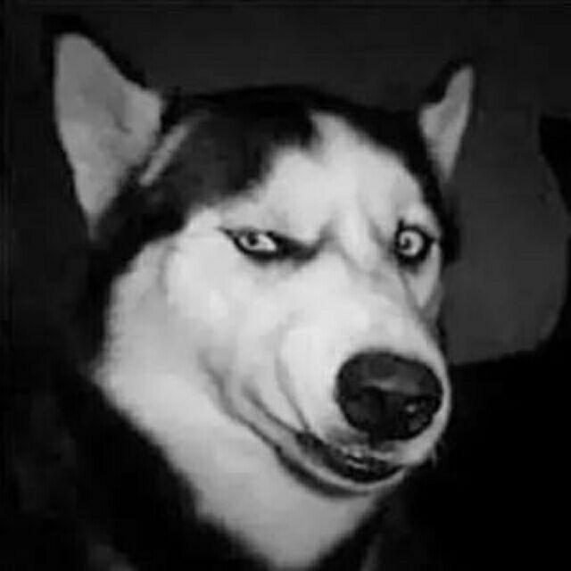 🌈🌈🌈金闪闪。