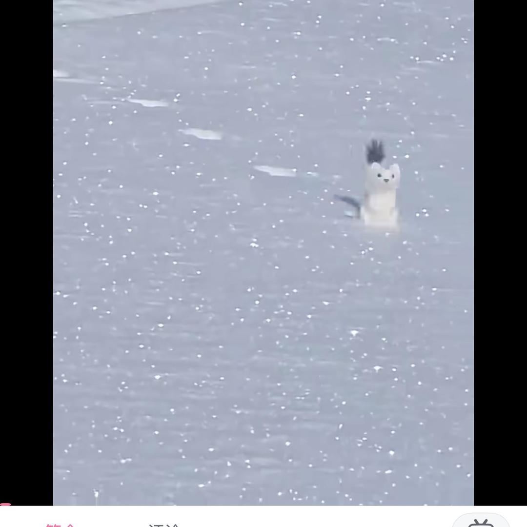 辣椒辣椒旅途啊的嘴