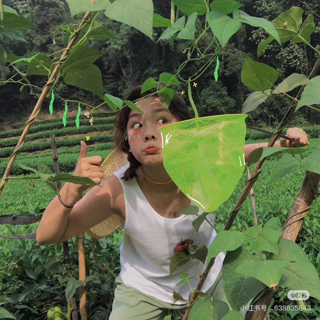 毛蛋娃娃