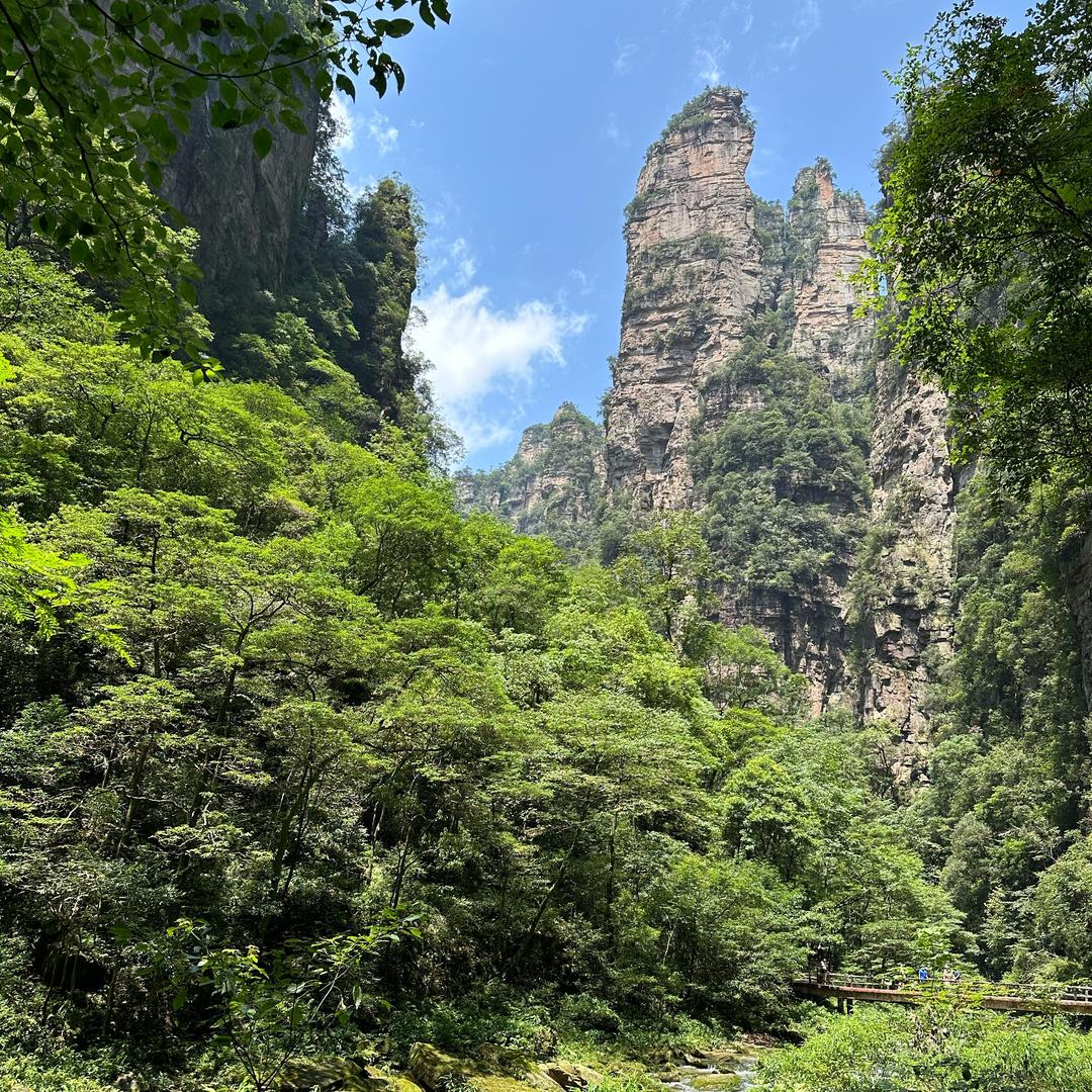 许红豆的豆