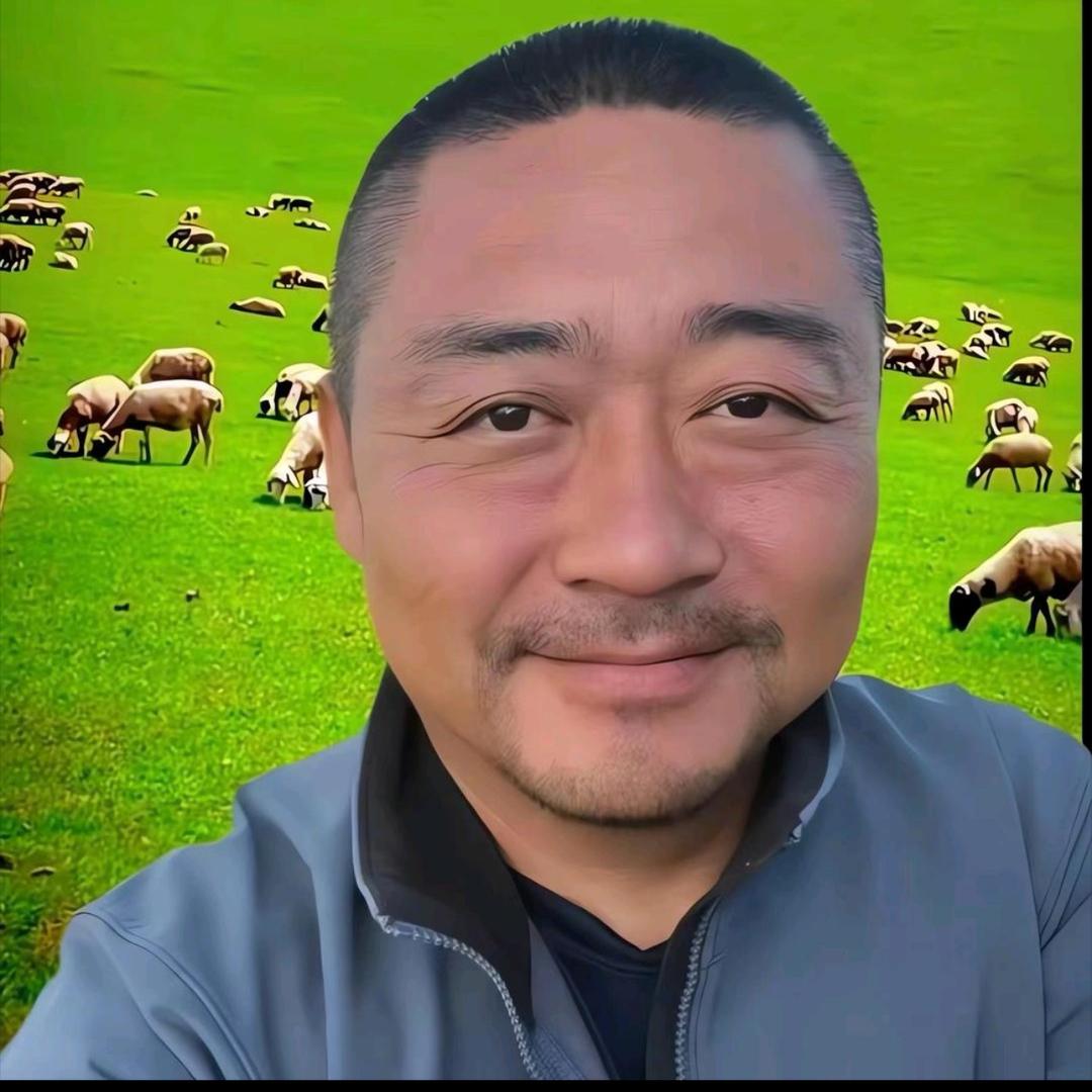 老马在草原精选