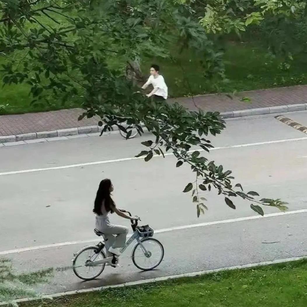 批发恐龙幼崽