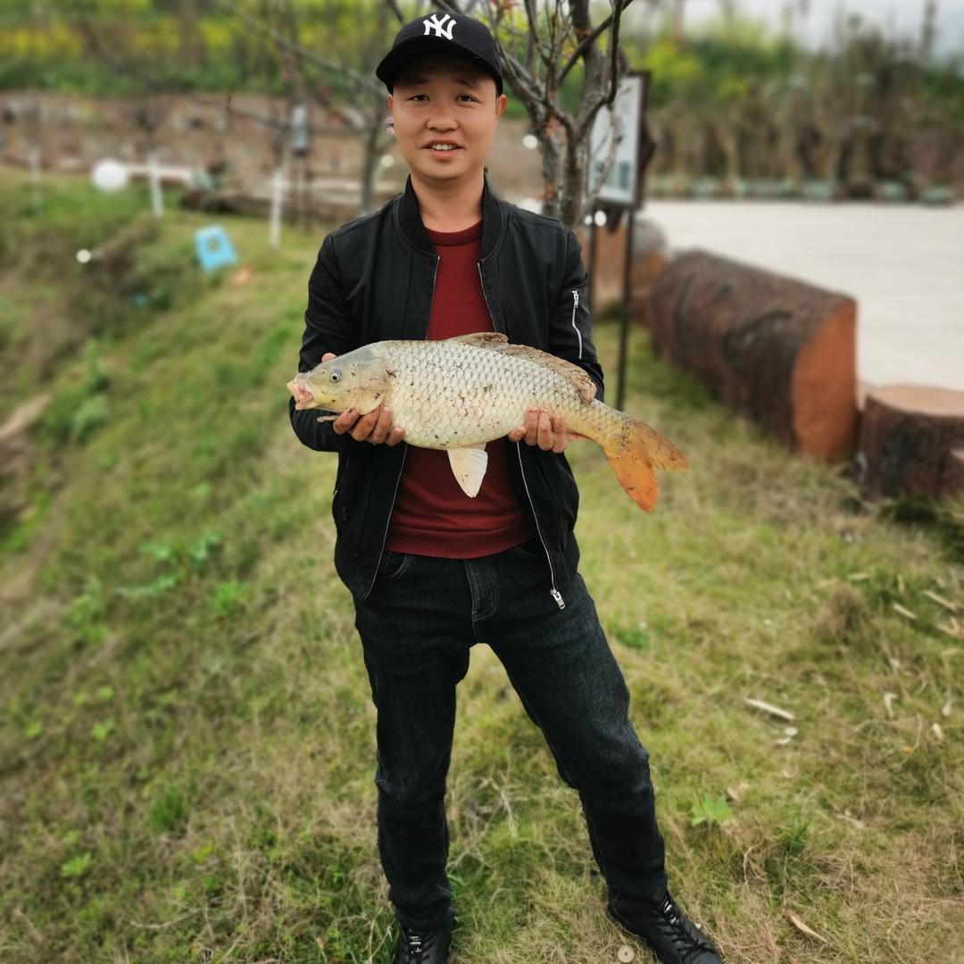 老七精选