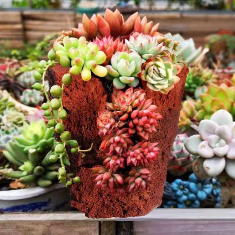 品植园艺火山石工厂
