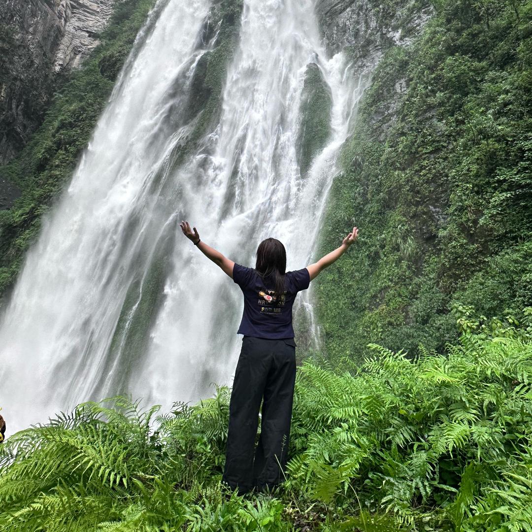 小象又来种草啦