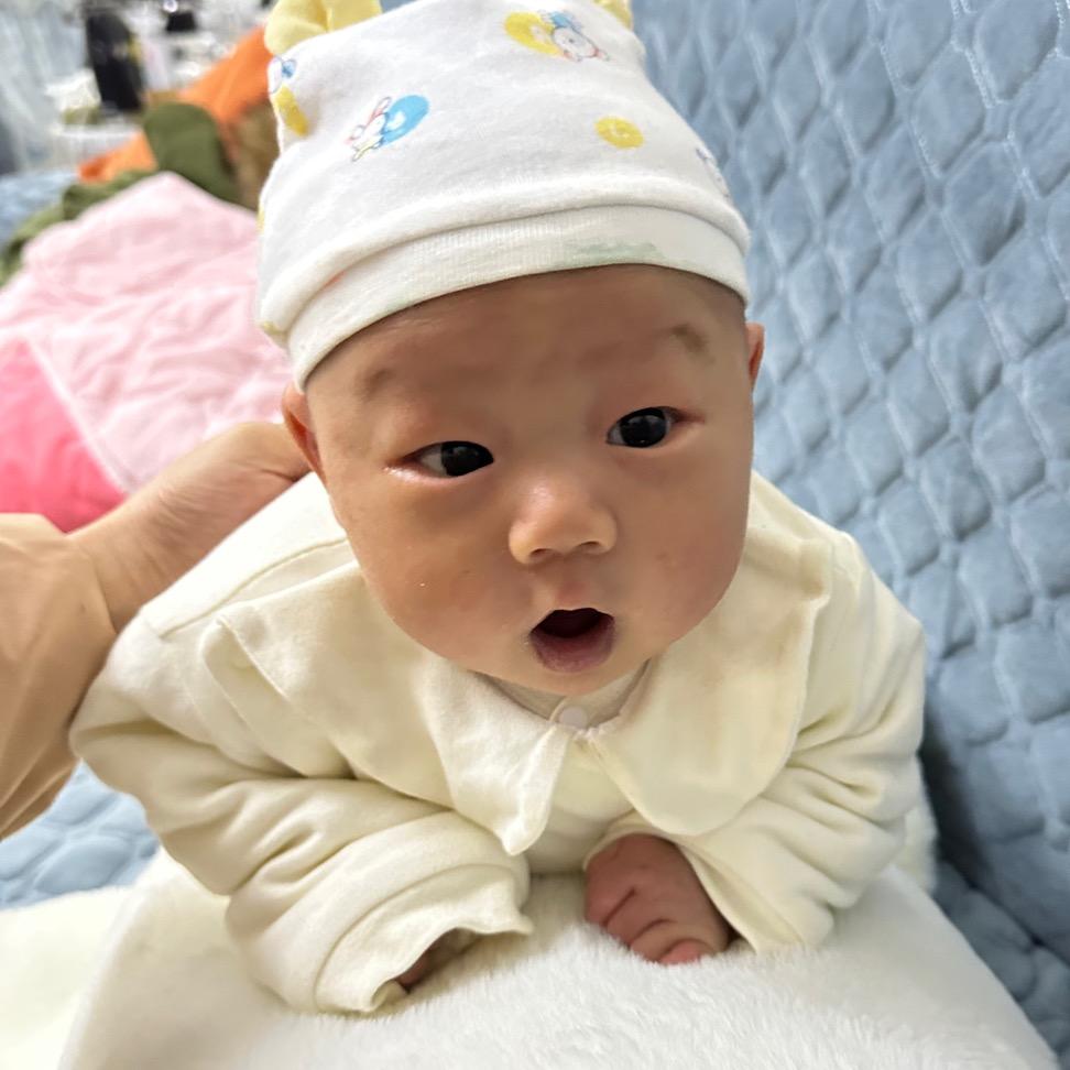 小元宝🐰