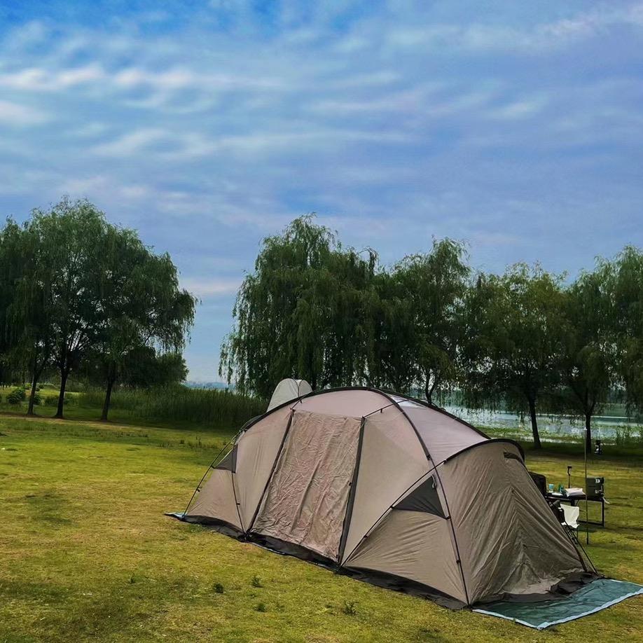 一个人的活动-老猫