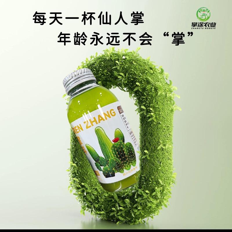 稀意之家仙人掌系列严选店