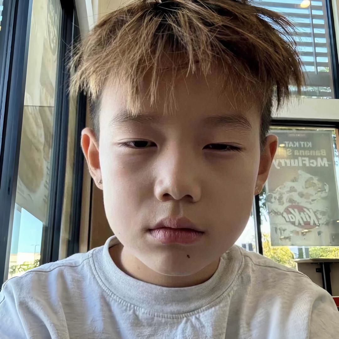 爱吃薯条的海鸥