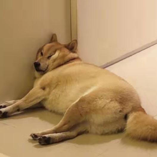 熊花