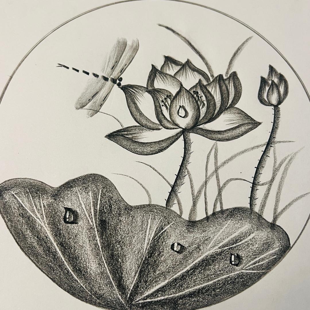 小白老师教画画