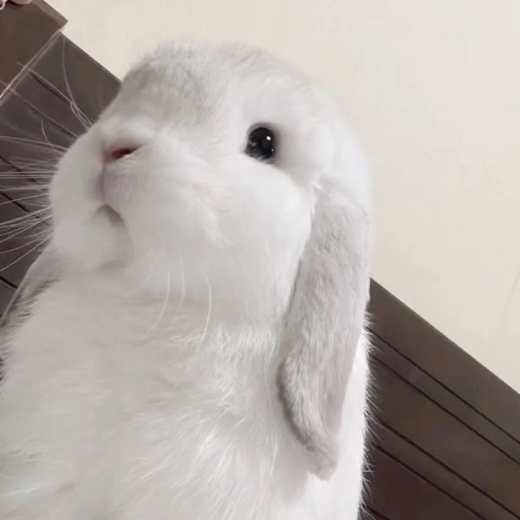 很睏