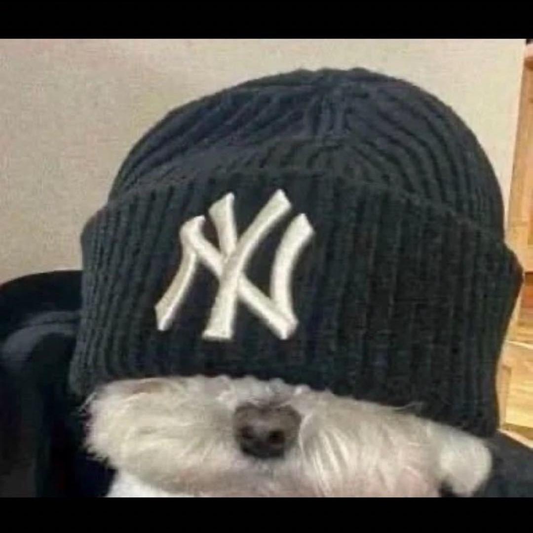 羽