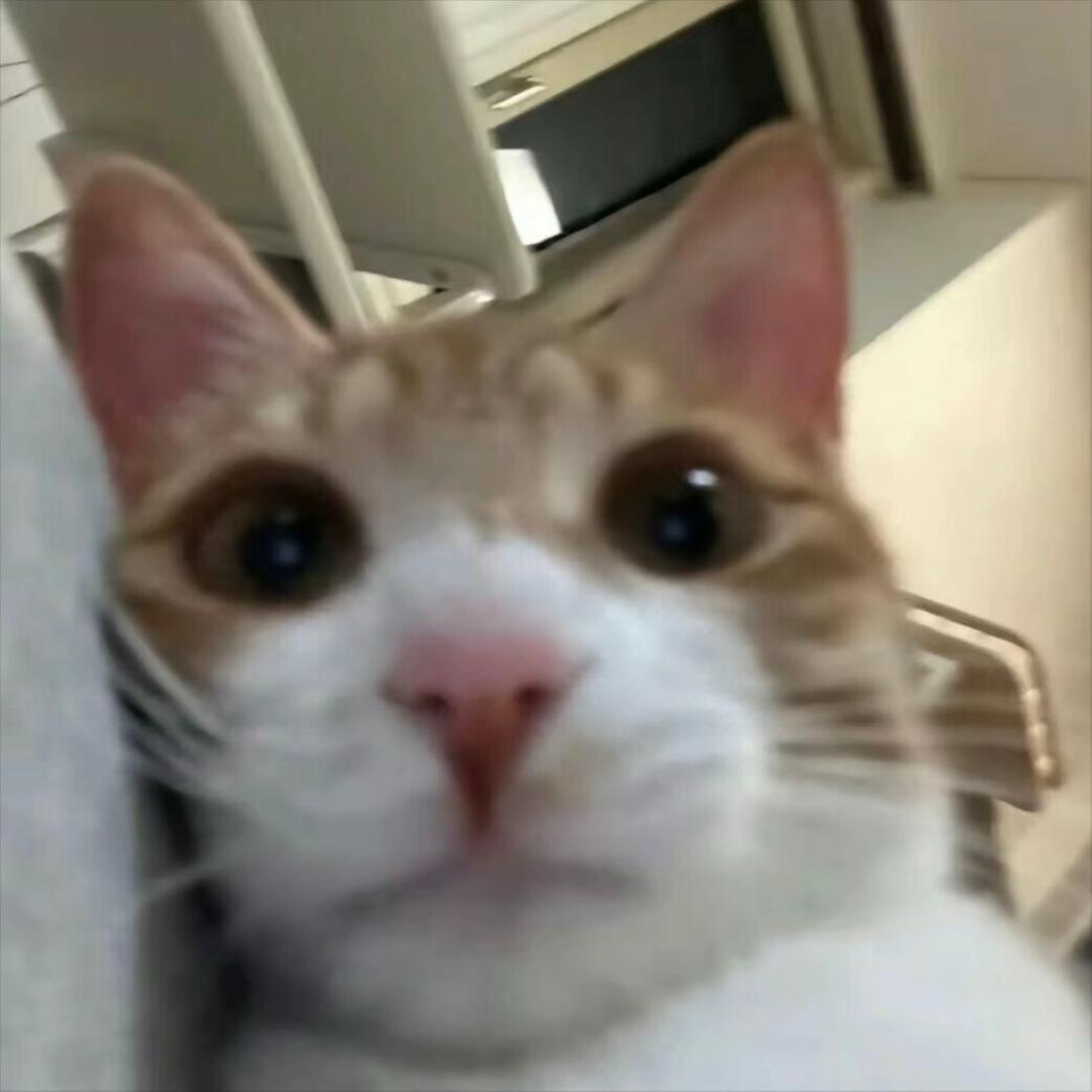 皮蛋瘦肉粥