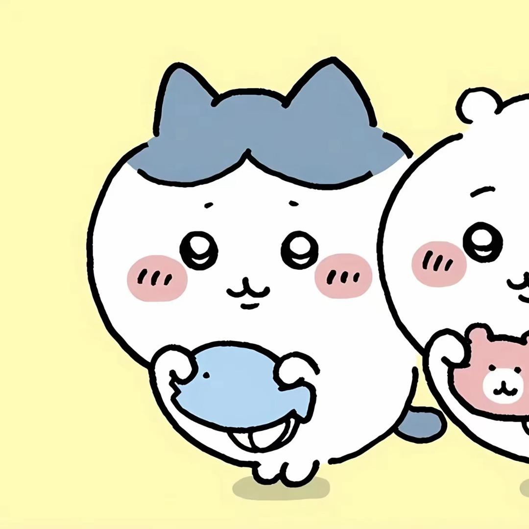 兔兔不吃芝士