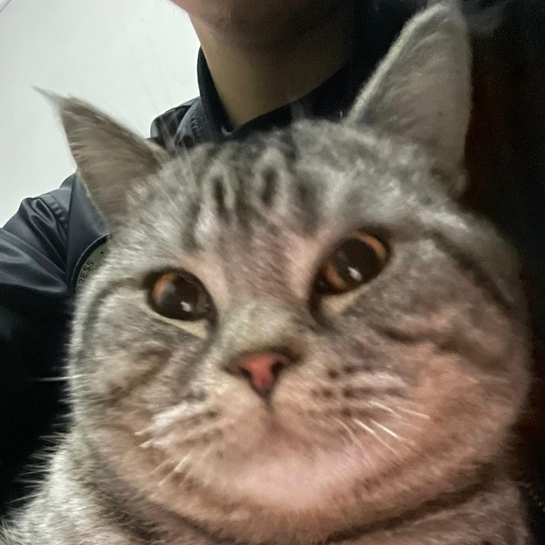你温柔可靠的互联网嘴替