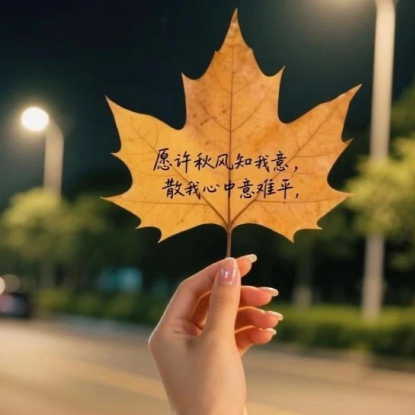昭如日月