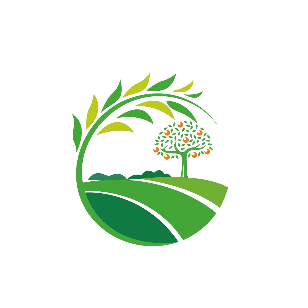 田木生辉