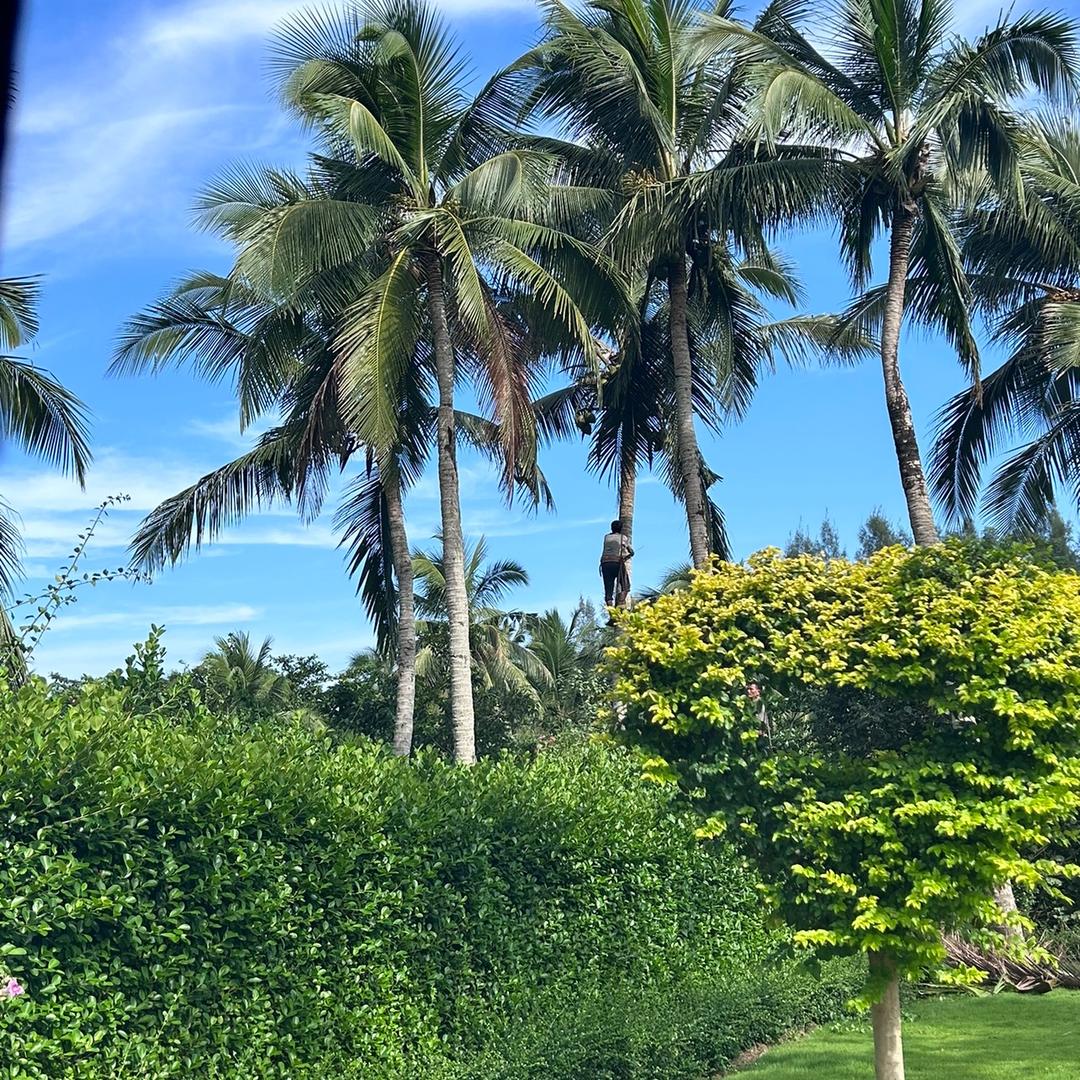 好久不见(ง ˙o˙)ว