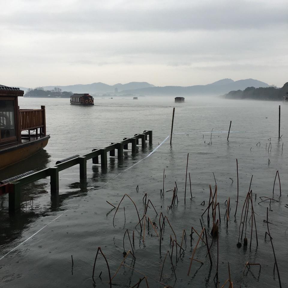 雾里看花。