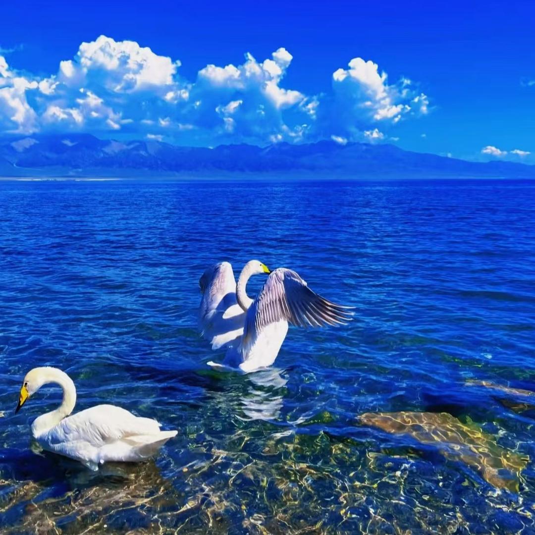 梨窝浅笑