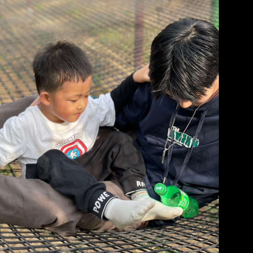 人生若只如初见