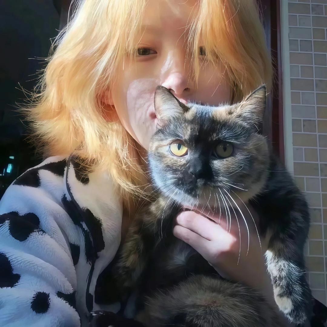 浣熊🦝又在玩