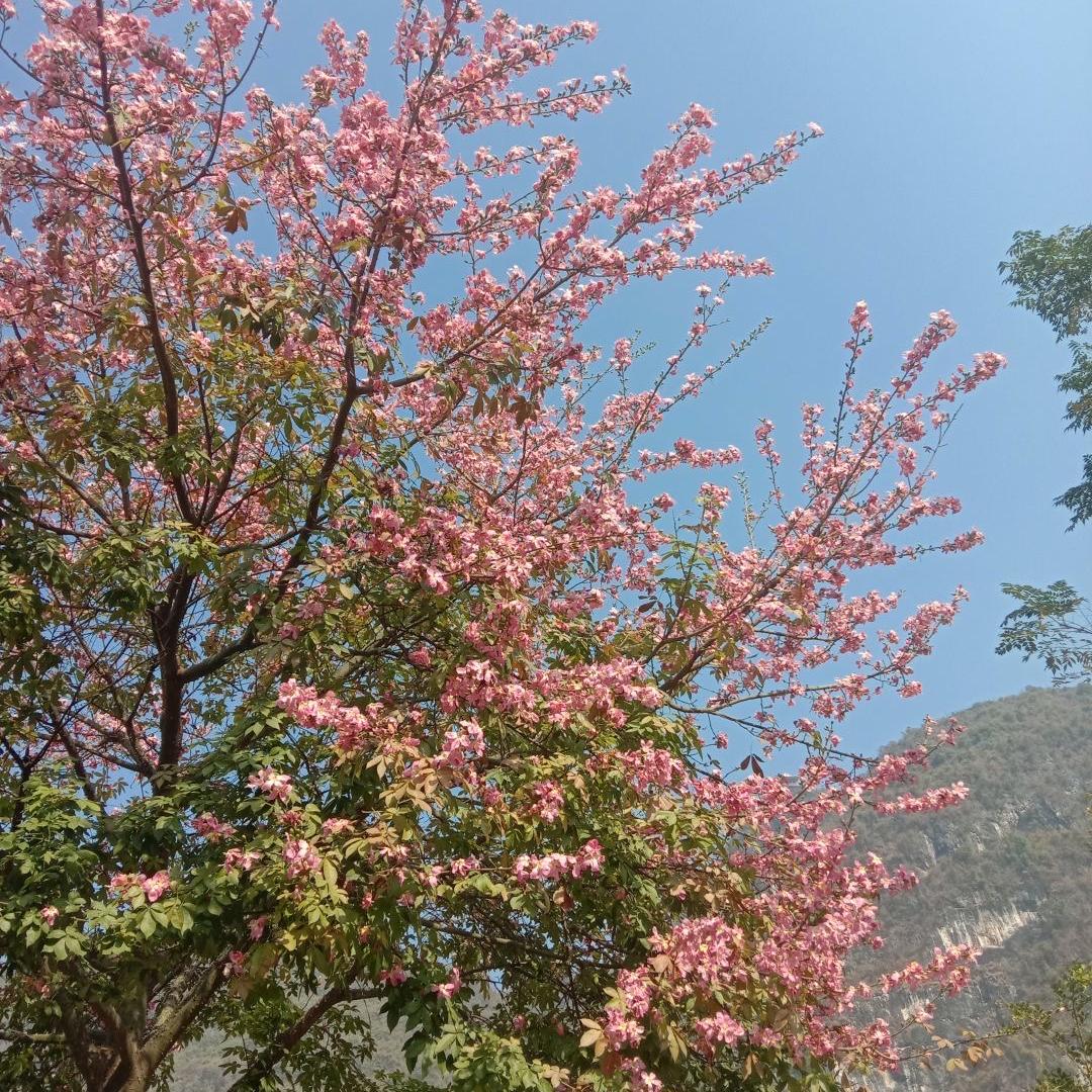 取吉贸易创意好物铺