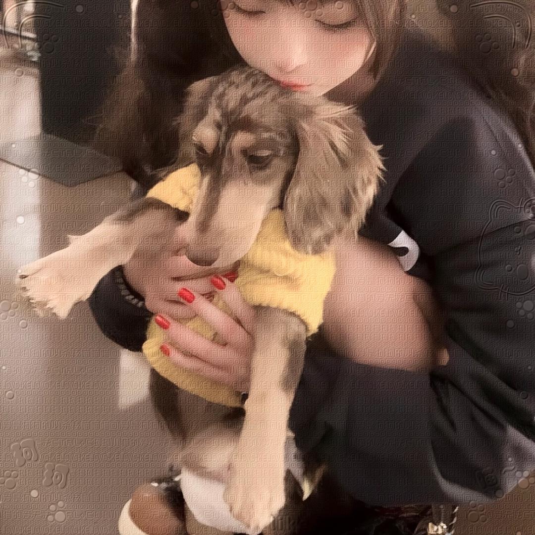 倘若